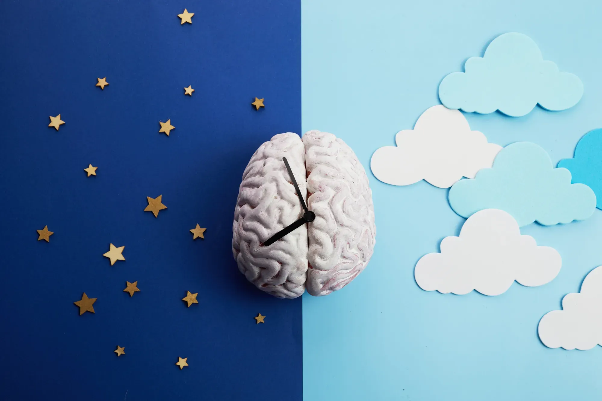 Beyond the 5 AM Club: Discover Your Chronotype for Optimal Performance