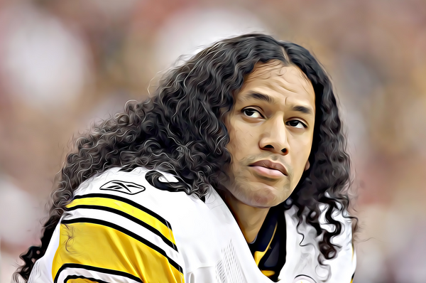 Troy Polamalu NFL Hall of Famer